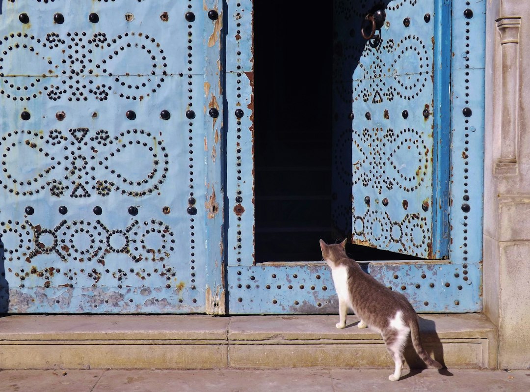 Porte traditionnelle ornée dans la médina de Tunis
