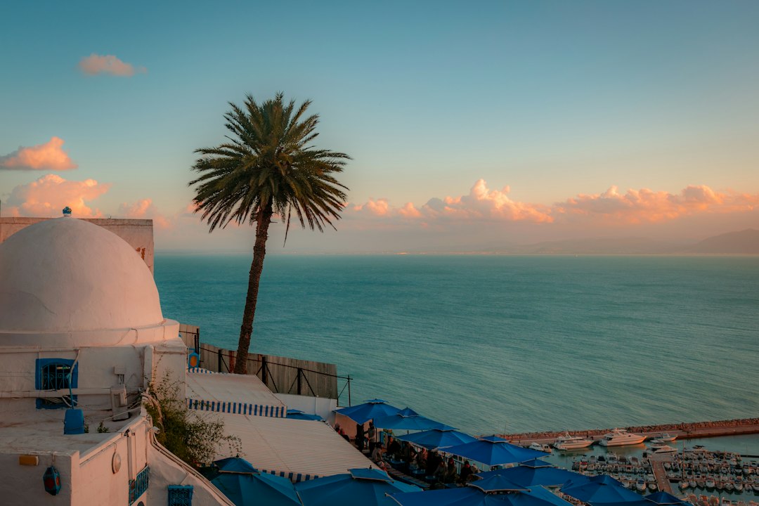 Café des Délices in Sidi Bou Said, Tunisia