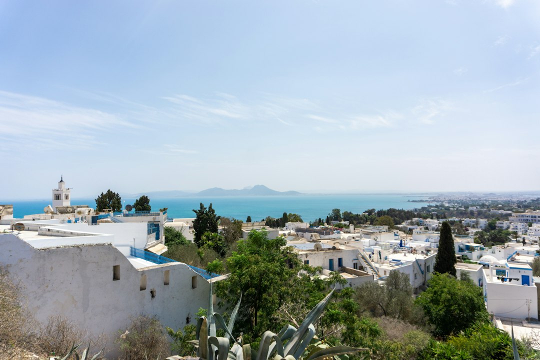 Sidi Bou Saïd, vue sur le golfe de Tunis
